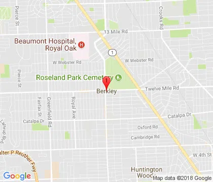 logo-image - berkley-mi